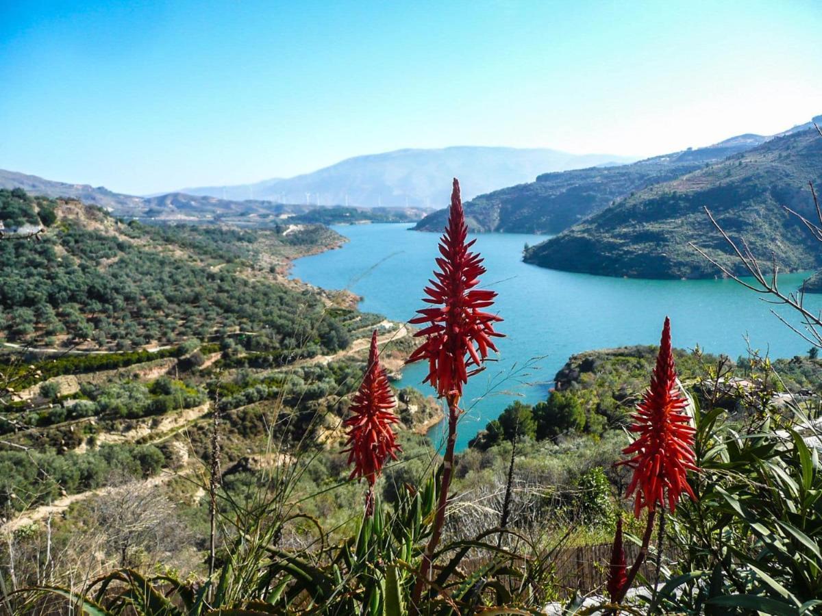 Apartmán Azahar Lecrin Exteriér fotografie